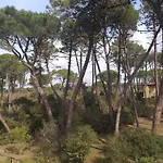 Maremaremma