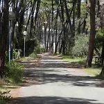 Daire Maremaremma Principina a Mare