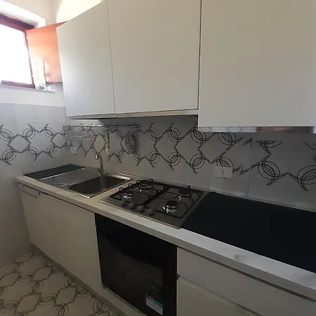Maremaremma * برانسيبينا أو ماري