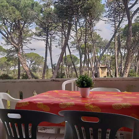 شقة Maremaremma برانسيبينا أو ماري