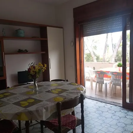 Maremaremma برانسيبينا أو ماري