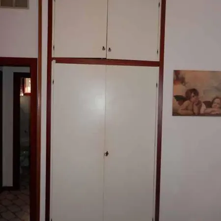 Maremaremma * برانسيبينا أو ماري